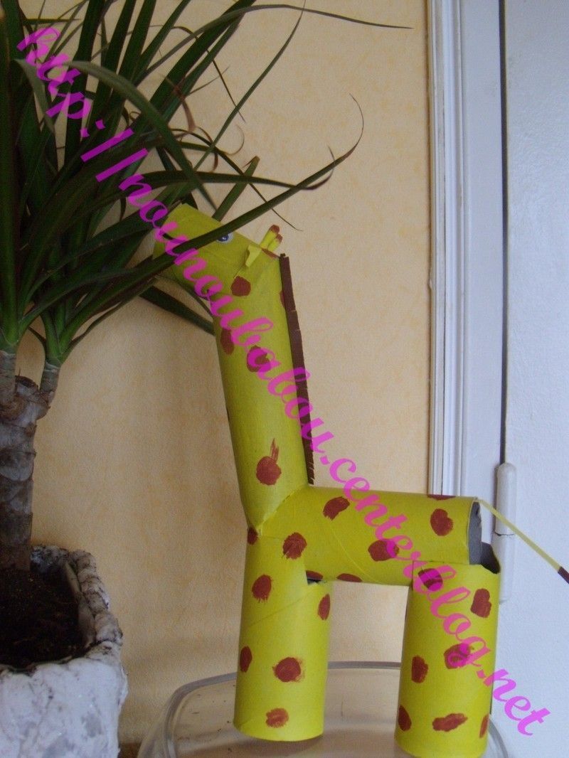 croco-et-girafe-016.jpg