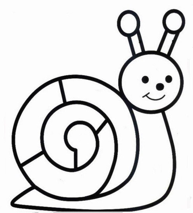 407 escargot multicolore